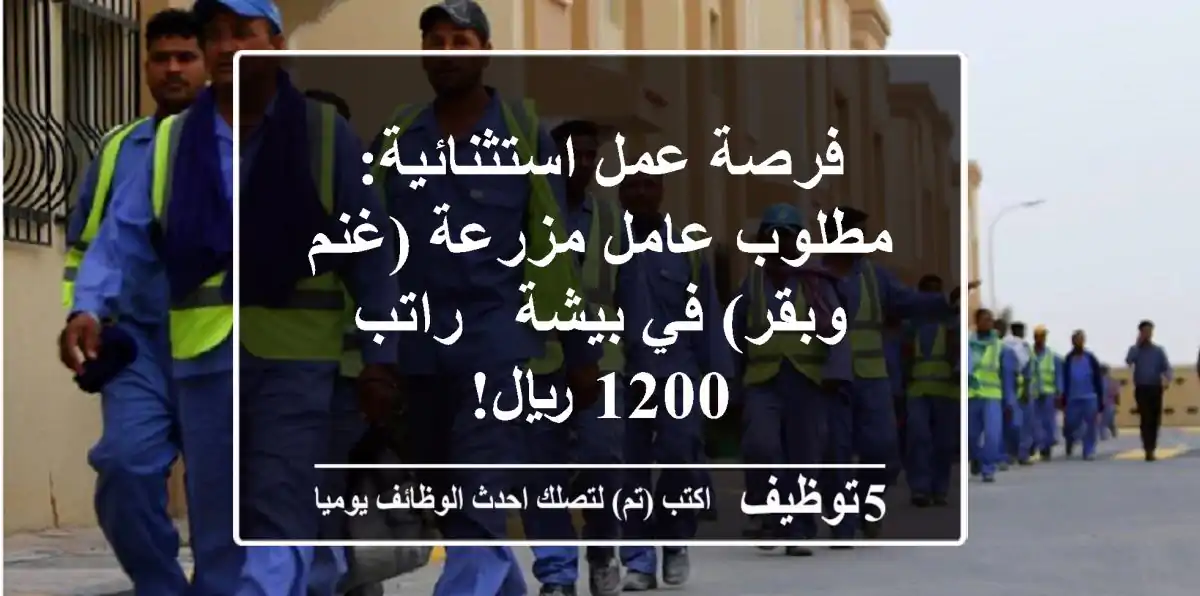 فرصة عمل استثنائية: مطلوب عامل مزرعة (غنم وبقر) في بيشة - راتب 1200 ريال!